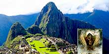 Top 10 melhores livros que explicam Machu Picchu